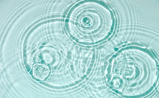 Governing_Documents_ache