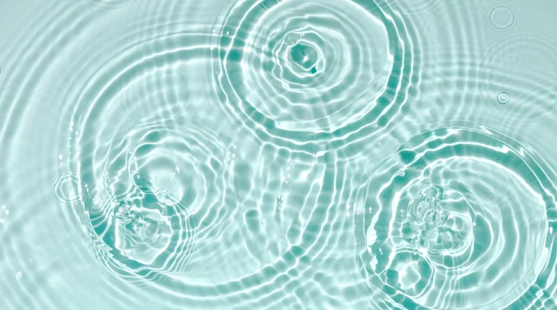 Governing_Documents_ache