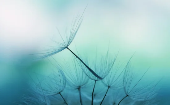 upgrade_certification_ache