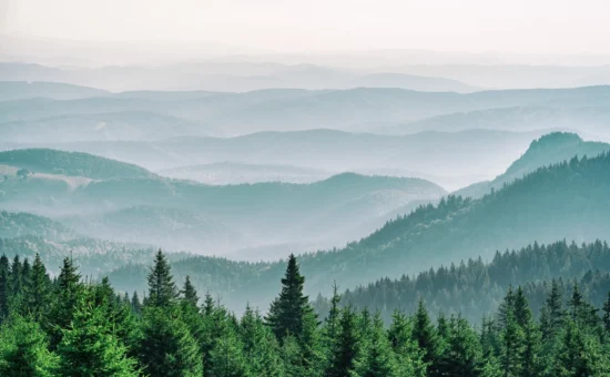 manage_your_membership_ache