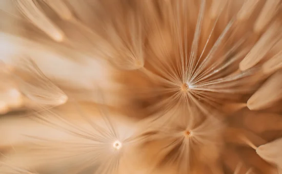 standard_hypnotherapy_association