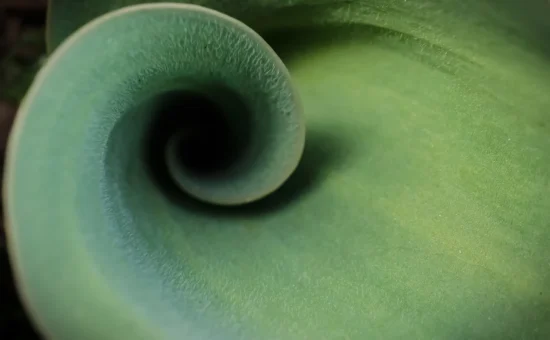 norms_hypnotherapy_practice