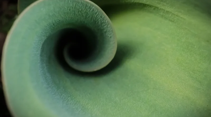 norms_hypnotherapy_practice