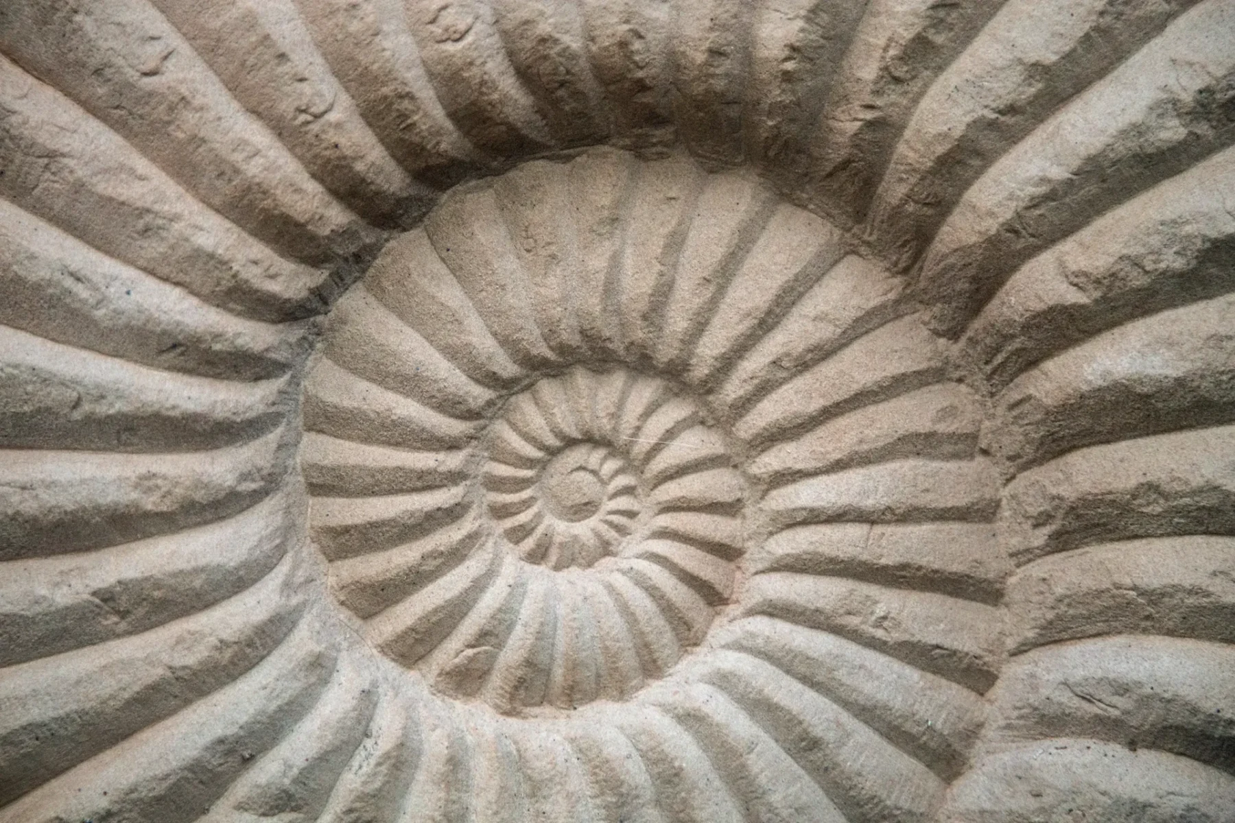 Conflict_of_Interest_Policy_ache