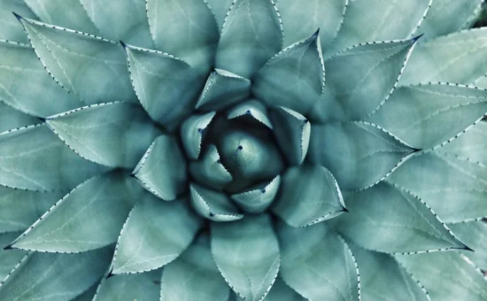 requirements_practice_hypnotherapy